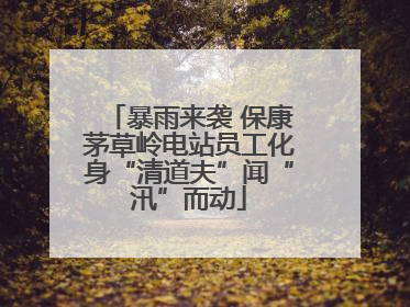 暴雨来袭 保康茅草岭电站员工化身“清道夫”闻“汛”而动
