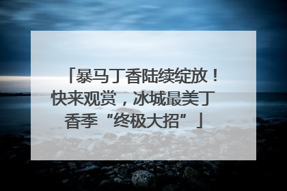 暴马丁香陆续绽放！快来观赏，冰城最美丁香季“终极大招”