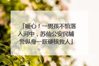 暖心！一男孩不慎落入河中，苏仙公安民辅警纵身一跃硬核救人