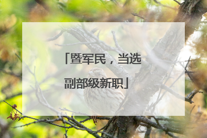 暨军民，当选副部级新职