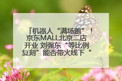 机器人“满场跑”！京东MALL北京二店开业 刘强东“等比例复刻”能否带火线下“618”？