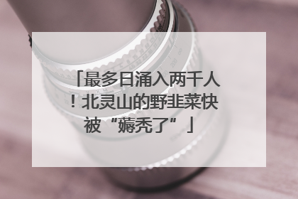 最多日涌入两千人！北灵山的野韭菜快被“薅秃了”