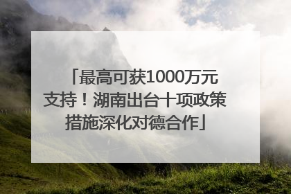 最高可获1000万元支持！湖南出台十项政策措施深化对德合作