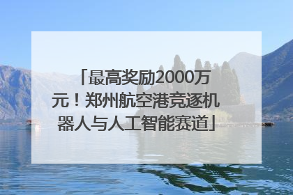 最高奖励2000万元！郑州航空港竞逐机器人与人工智能赛道