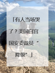 有人当场哭了？美国白宫国安委裁员“降级”