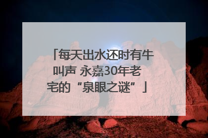 每天出水还时有牛叫声 永嘉30年老宅的“泉眼之谜”