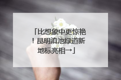 比想象中更惊艳！昆明滇池绿道新地标亮相→