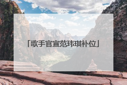 歌手官宣范玮琪补位