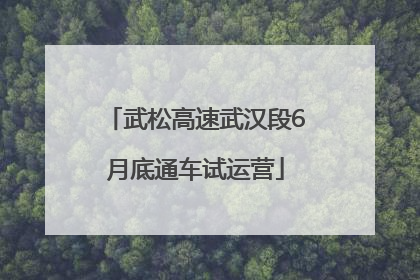 武松高速武汉段6月底通车试运营