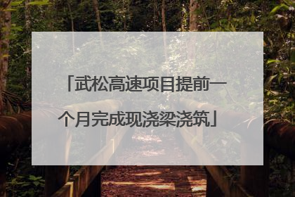 武松高速项目提前一个月完成现浇梁浇筑