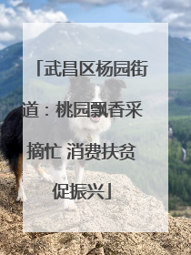 武昌区杨园街道：桃园飘香采摘忙 消费扶贫促振兴