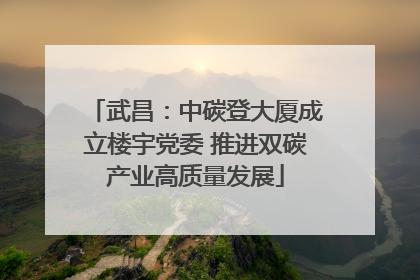 武昌：中碳登大厦成立楼宇党委 推进双碳产业高质量发展