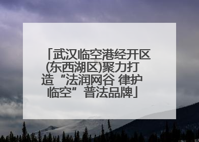 武汉临空港经开区(东西湖区)聚力打造“法润网谷 律护临空”普法品牌