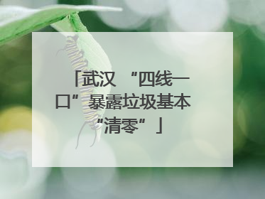 武汉 “四线一口”暴露垃圾基本 “清零”