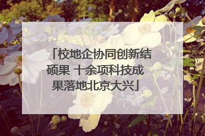 校地企协同创新结硕果 十余项科技成果落地北京大兴