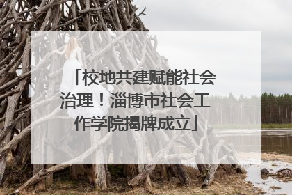 校地共建赋能社会治理！淄博市社会工作学院揭牌成立