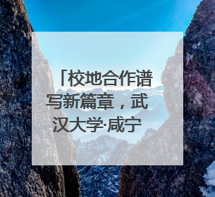 校地合作谱写新篇章，武汉大学·咸宁低空经济创新研究院签约成立