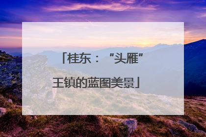 桂东：“头雁”王镇的蓝图美景