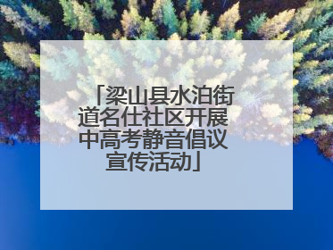 梁山县水泊街道名仕社区开展中高考静音倡议宣传活动