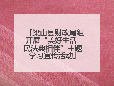梁山县财政局组开展“美好生活 民法典相伴”主题学习宣传活动