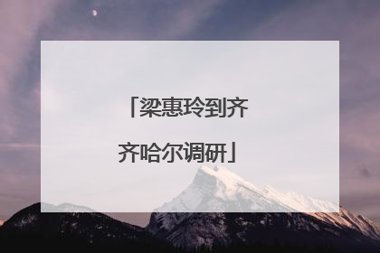 梁惠玲到齐齐哈尔调研