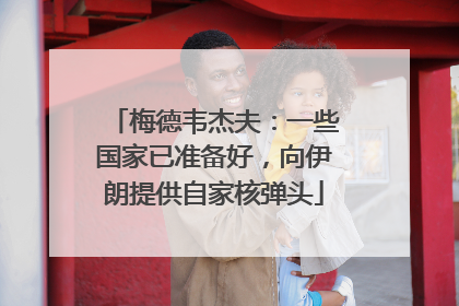 梅德韦杰夫：一些国家已准备好，向伊朗提供自家核弹头