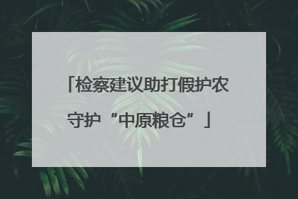 检察建议助打假护农守护“中原粮仓”
