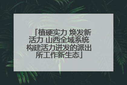 植硬实力 焕发新活力 山西全域系统构建活力迸发的派出所工作新生态