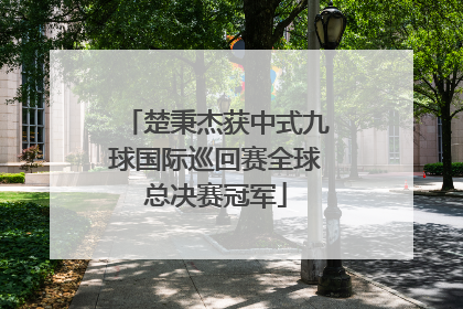 楚秉杰获中式九球国际巡回赛全球总决赛冠军