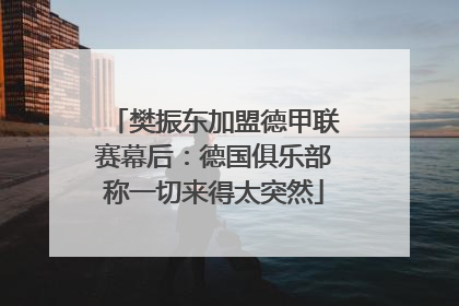 樊振东加盟德甲联赛幕后：德国俱乐部称一切来得太突然