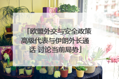 欧盟外交与安全政策高级代表与伊朗外长通话 讨论当前局势