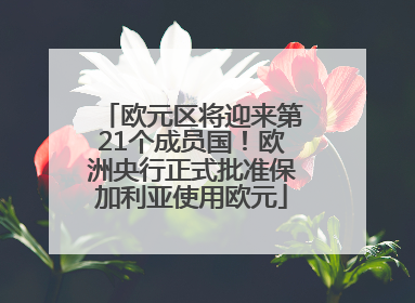 欧元区将迎来第21个成员国！欧洲央行正式批准保加利亚使用欧元