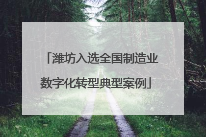 潍坊入选全国制造业数字化转型典型案例