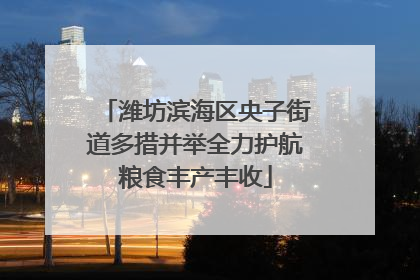 潍坊滨海区央子街道多措并举全力护航粮食丰产丰收