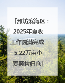 潍坊滨海区：2025年夏收工作圆满完成 5.22万亩小麦颗粒归仓