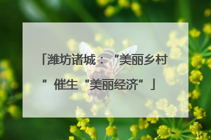 潍坊诸城：“美丽乡村”催生“美丽经济”
