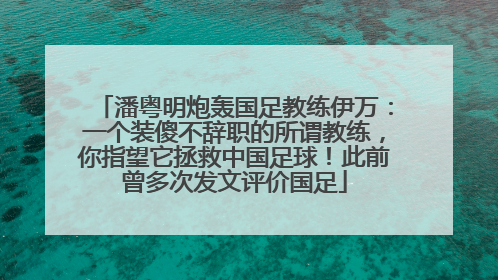 潘粤明炮轰国足教练伊万：一个装傻不辞职的所谓教练，你指望它拯救中国足球！此前曾多次发文评价国足