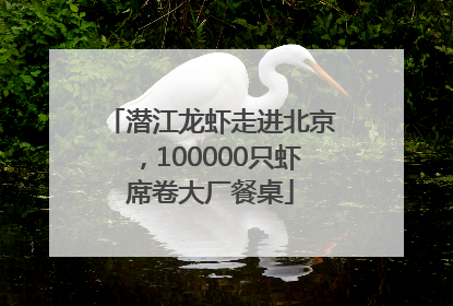 潜江龙虾走进北京，100000只虾席卷大厂餐桌