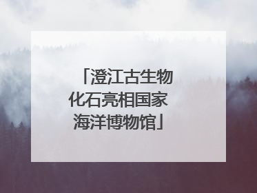 澄江古生物化石亮相国家海洋博物馆