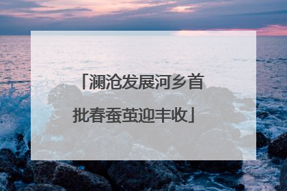 澜沧发展河乡首批春蚕茧迎丰收