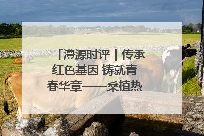 澧源时评｜传承红色基因 铸就青春华章——桑植热土上的青春长征