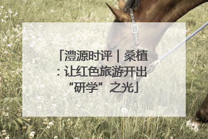 澧源时评｜桑植：让红色旅游开出“研学”之光