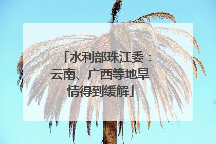 水利部珠江委：云南、广西等地旱情得到缓解