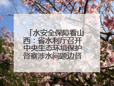 水安全保障看山西：省水利厅召开中央生态环境保护督察涉水问题边督边改工作推进会
