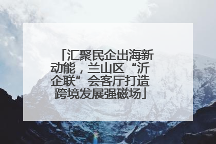汇聚民企出海新动能，兰山区“沂企联”会客厅打造跨境发展强磁场