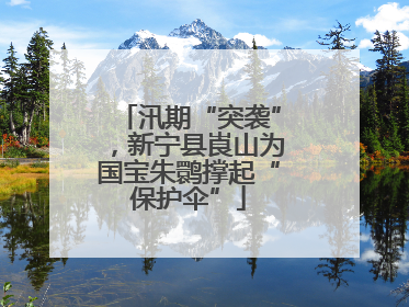 汛期“突袭”，新宁县崀山为国宝朱鹮撑起“保护伞”