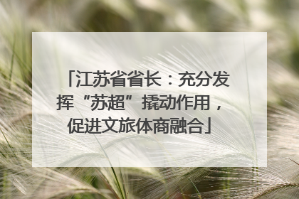 江苏省省长：充分发挥“苏超”撬动作用，促进文旅体商融合