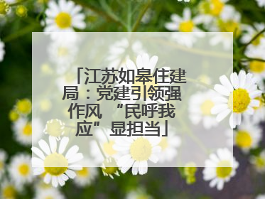 江苏如皋住建局：党建引领强作风 “民呼我应”显担当