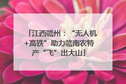 江西赣州：“无人机+高铁”助力赣南农特产“飞”出大山