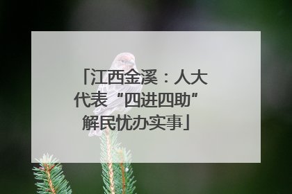 江西金溪：人大代表“四进四助”解民忧办实事